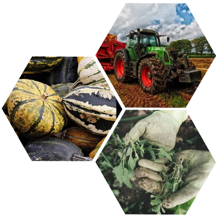 Especialista de Agro Sí Consulting en campo