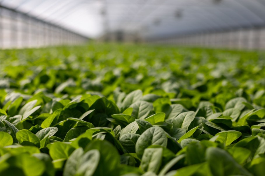Tecnología aplicada a la agricultura