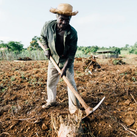Agricultura y agroindustria en Panamá