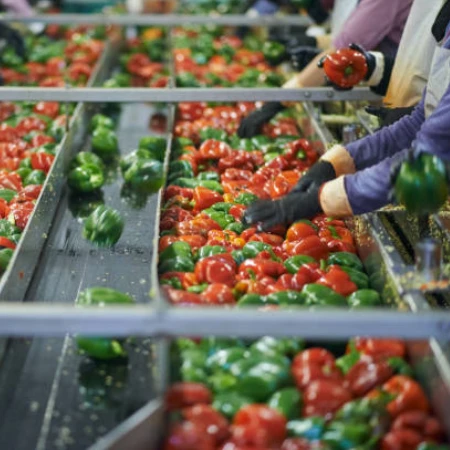 Gestión de Plantas Agroindustriales